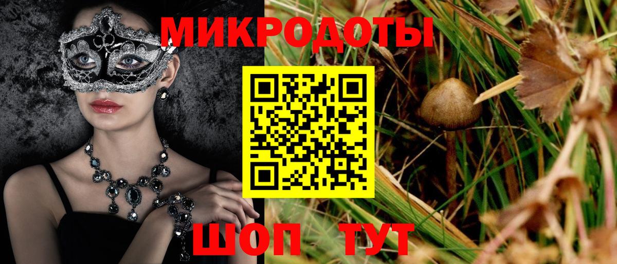 Псилоцибиновые грибы Cubensis Егорьевск