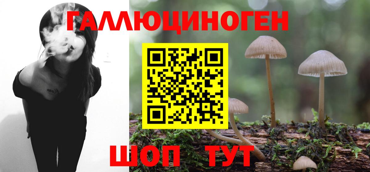Псилоцибиновые грибы ЛСД  Вход с VPN  Егорьевск  закладки  Галлюциногенные грибы Cubensis 